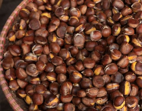 chuyên sỉ lẻ bán hạt dẻ rang