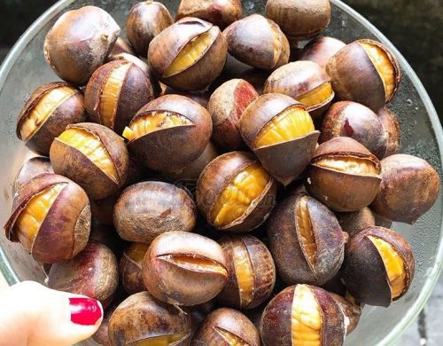 chuyên sỉ lẻ bán hạt dẻ rang